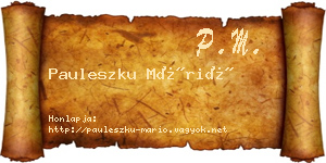 Pauleszku Márió névjegykártya